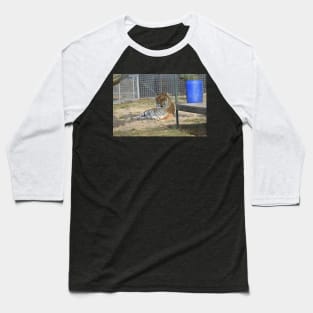 Tiger Baseball T-Shirt